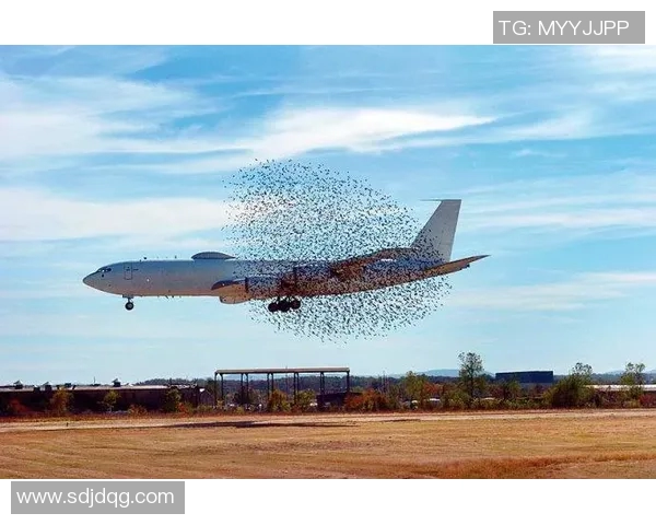 FC巴黎与尼奥特激战回顾赛场精彩瞬间与详细事件分析