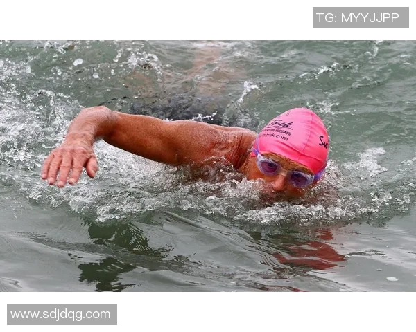 游泳明星的奋斗历程与泳池中的辉煌成就揭秘